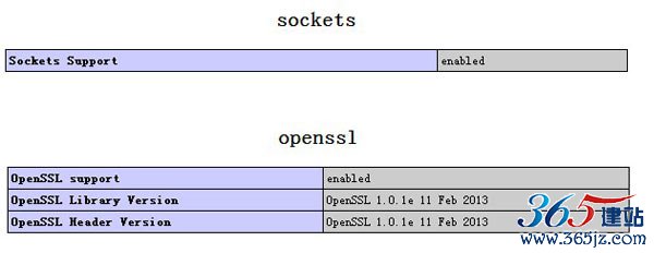 支持socket与openssl的示例