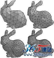 Mesh Model