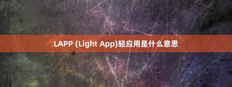 LAPP (Light App)轻应用是什么意思