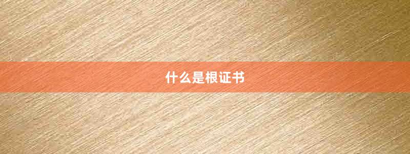 什么是根证书