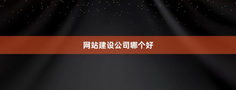 网站建设公司哪个好