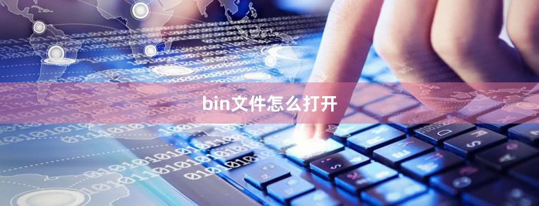 bin文件怎么打开