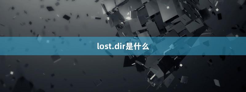 lost.dir是什么