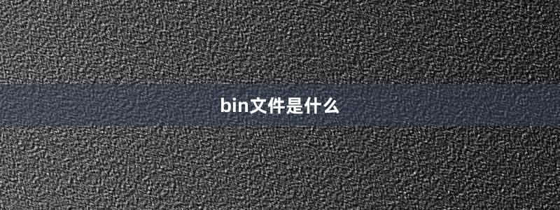 bin文件是什么