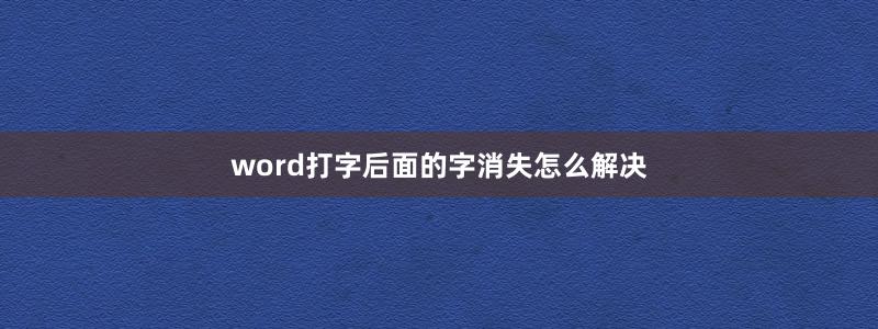 word打字后面的字消失怎么解决