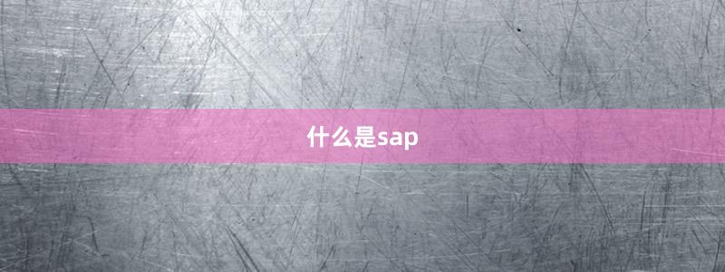 什么是sap