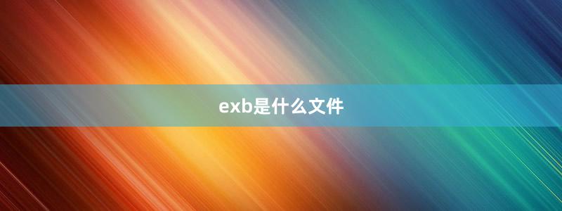 exb是什么文件